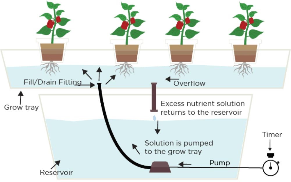 Mô hình Ebb and Flow (Flood and Drain)